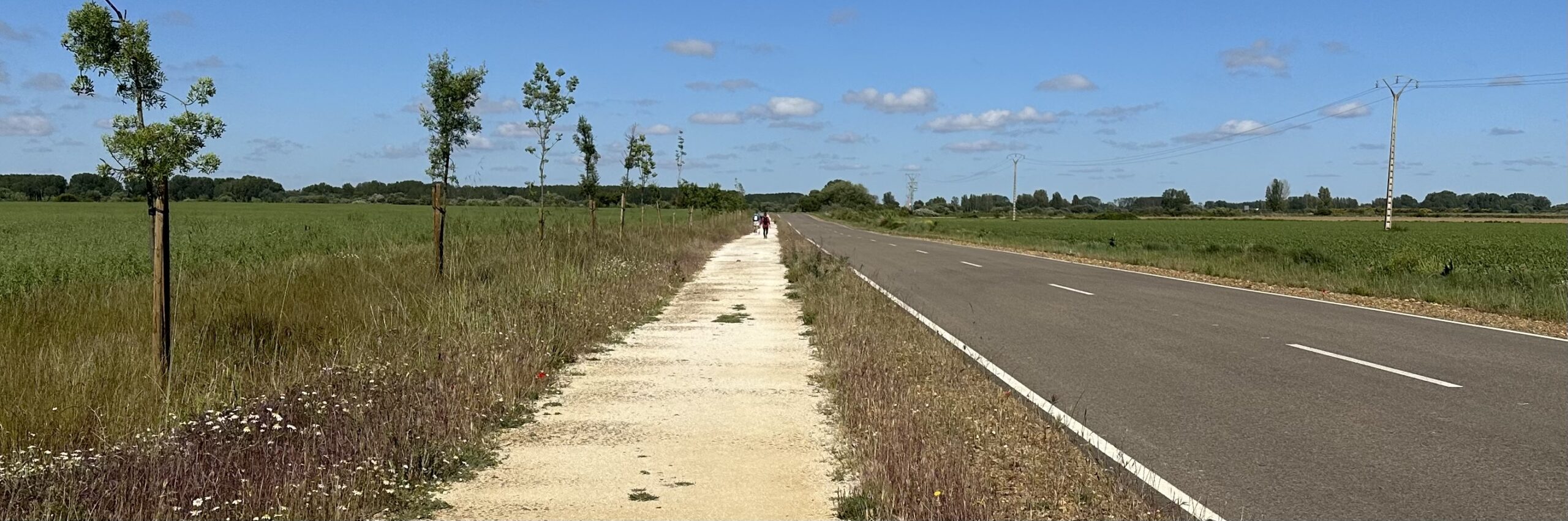 The Meseta March