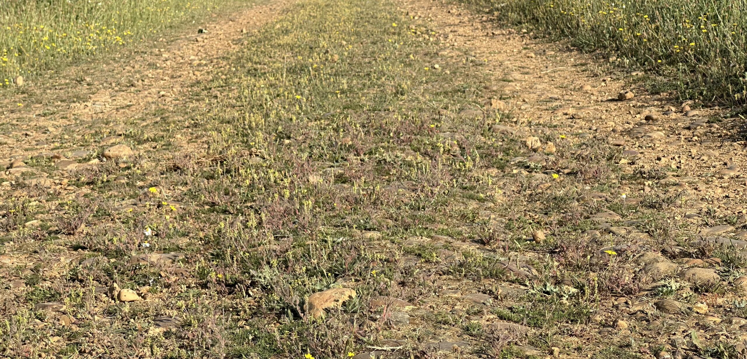 An ode, some woad, a Roman road